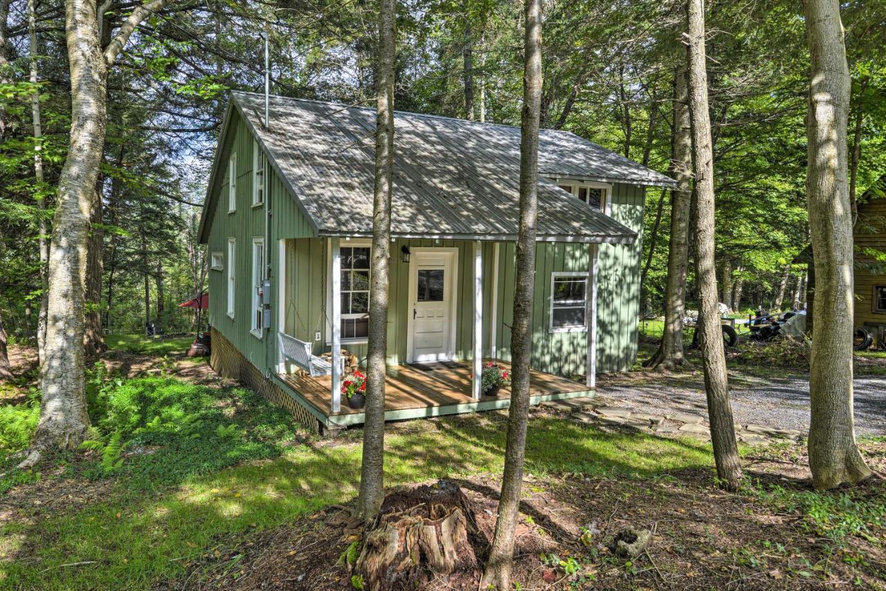 Adirondacks Cabin With Fire Pit On Otter Lake! Forestport Exterior foto